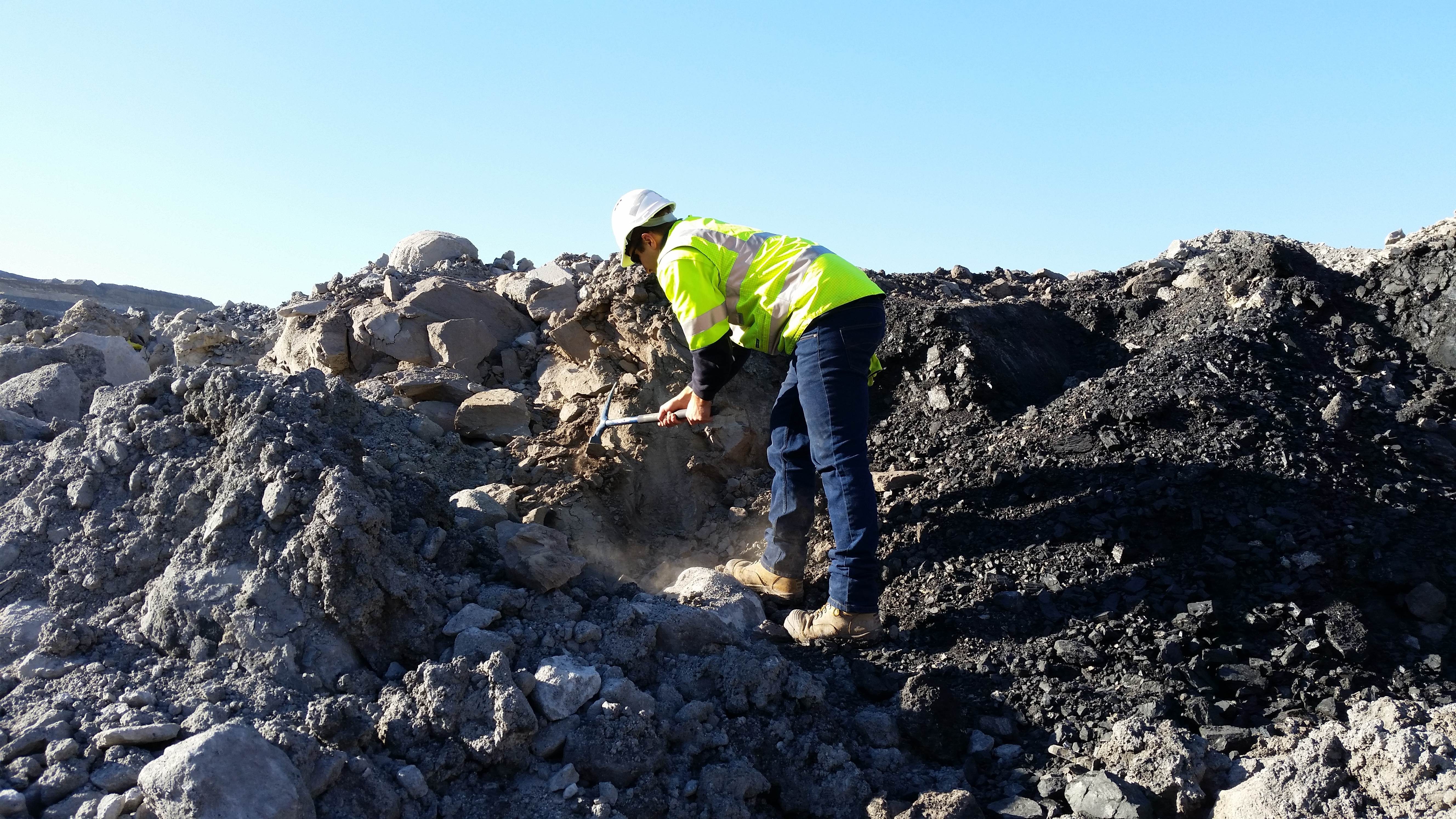 Geologist On Site