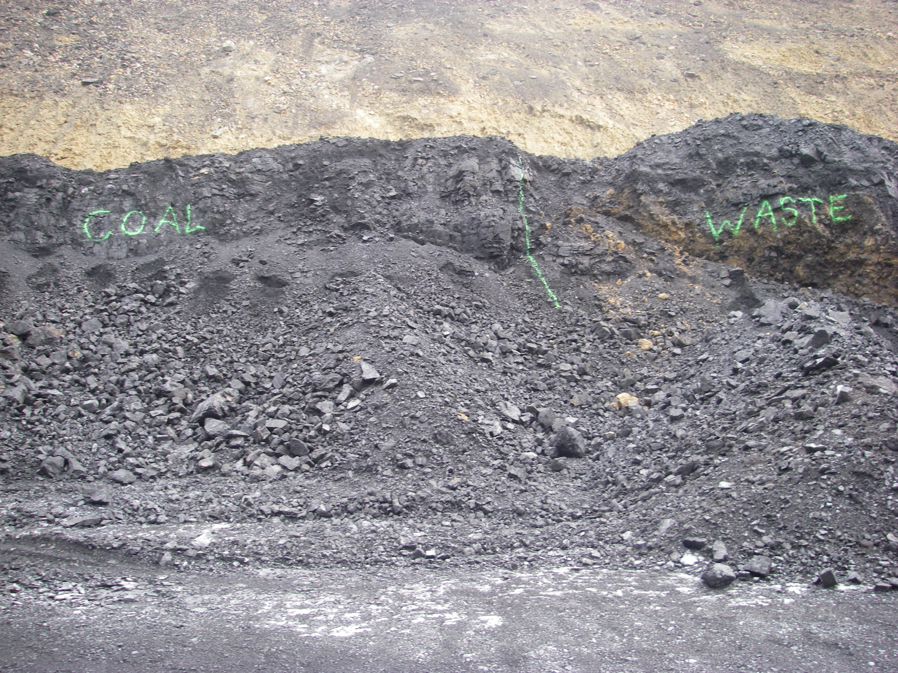 Coal Identification