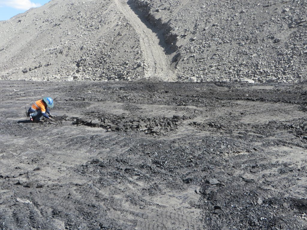 Geologist Verifying Coal Roof Has Been Uncovered by the Dragline